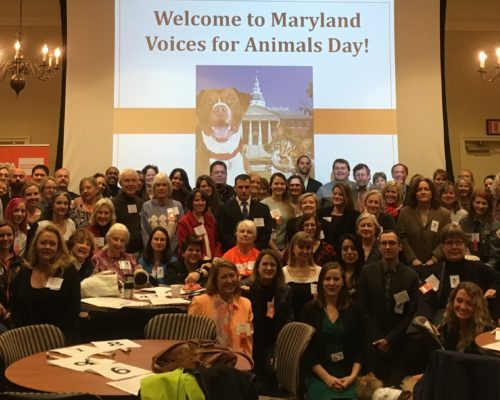 Aspca Group Photo